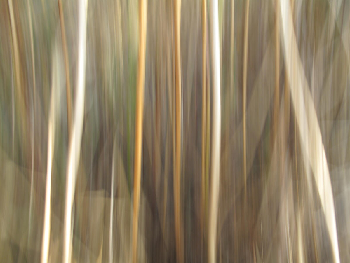 Beyond the White Mountain