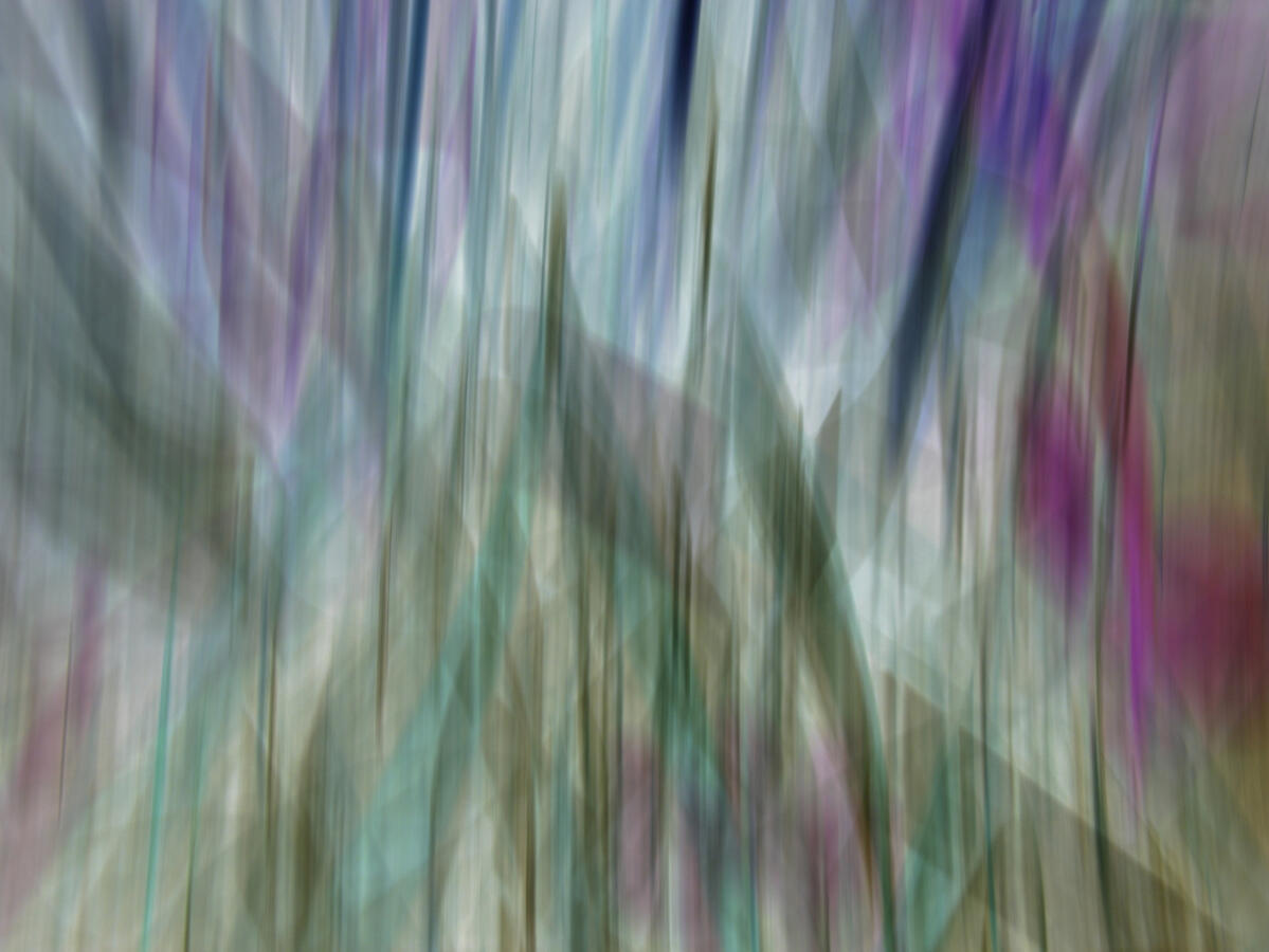 Transparency 56