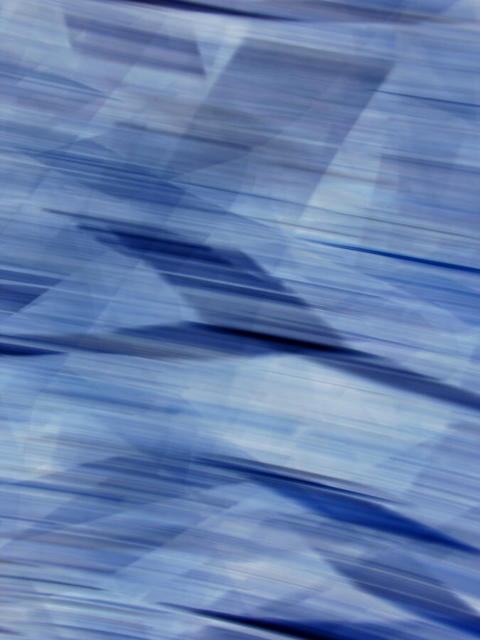 The blue bird